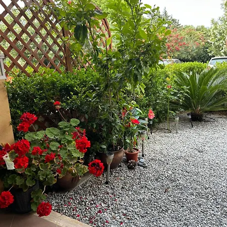 Casa 121g Calabria Sun - Stunning Self-catering Near Sea For 3 Lejlighed *