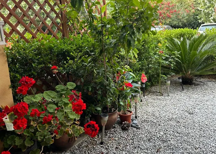 Casa 121g Calabria Sun - Stunning Self-catering Near Sea For 3 Apartamento *